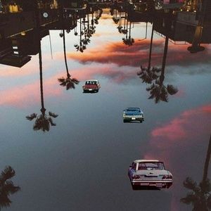 Meet your Posher, Lillie